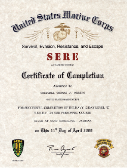 sere_certificate.png (491497 bytes)